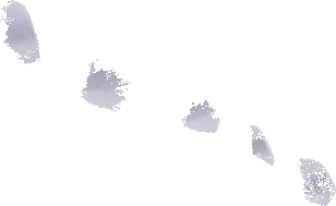 Skechers Slip-ins: Hypno-Flash 2.0 – Odelux - Lasten kengät 7 Skechers Slip-ins: Hypno-Flash 2.0 – Odelux - Lasten kengät - Image 5